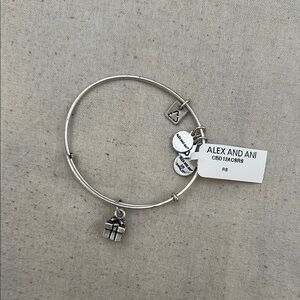 Alex and Ani gift Silver Charm Bracelet